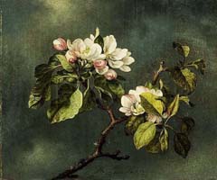 Motief Heade - Appelbloesem